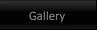 Gallery Gallery