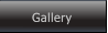 Gallery Gallery